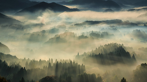 京都の日本画のような風景