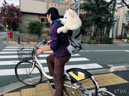 第七弾