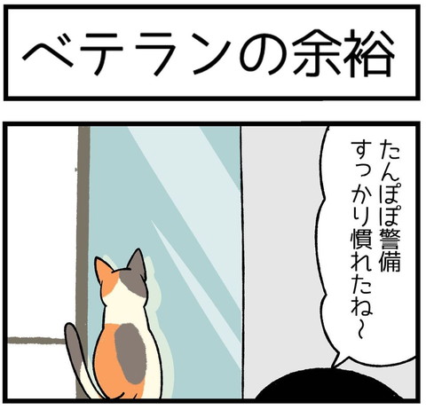 「ベテランの余裕」