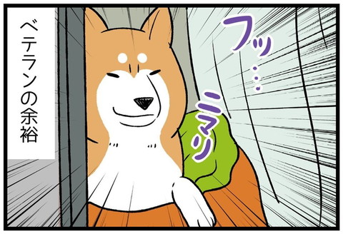 「ベテランの余裕」