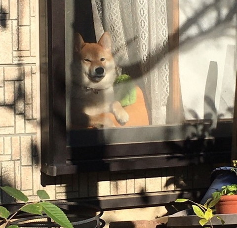 「ベテランの余裕」