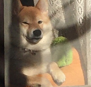 「ベテランの余裕」