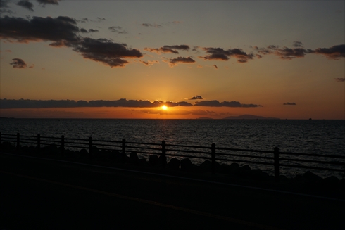 ゴジラ 淡路島 ニジゲンノモリ