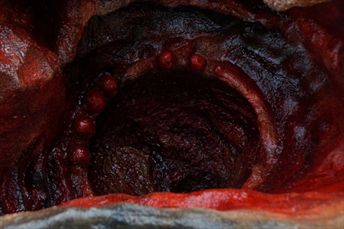 ゴジラ 淡路島 ニジゲンノモリ