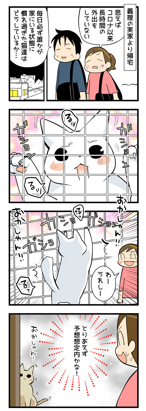 そして慣れていた猫たちは1