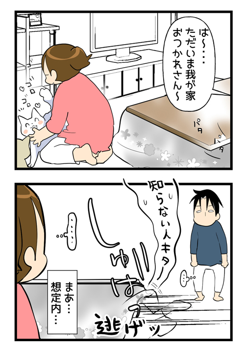 そして慣れていた猫たちは2