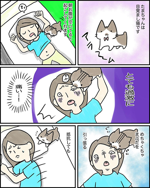 目覚まし猫ちゃん漫画1