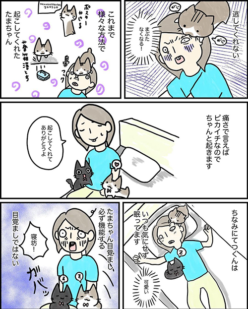 目覚まし猫ちゃん漫画2