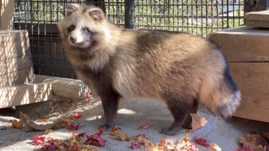 おびひろ動物園