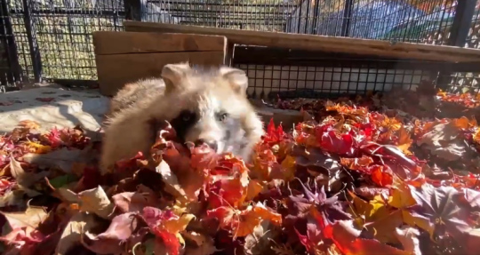 おびひろ動物園