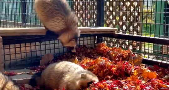 おびひろ動物園