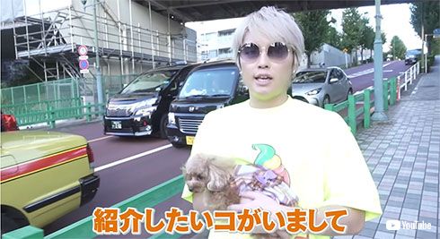 手越祐也 愛犬 トイプードル