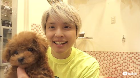 手越祐也 愛犬 トイプードル
