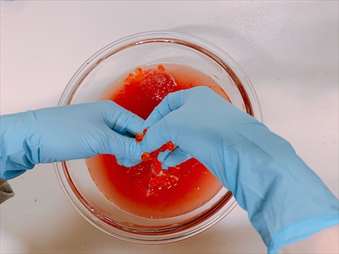 いくら ねとらぼ