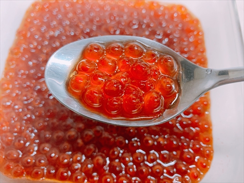 いくら ねとらぼ