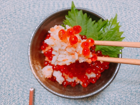 いくら ねとらぼ