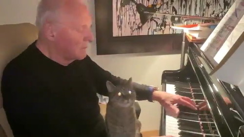 ホプキンスと猫