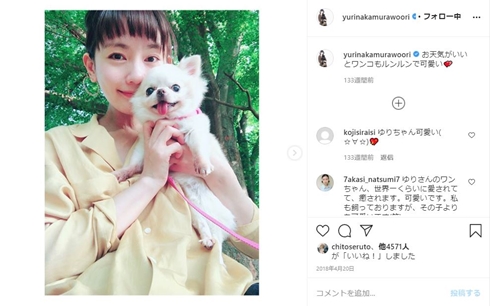 中村ゆり 犬 天ちゃん ウニちゃん ペット