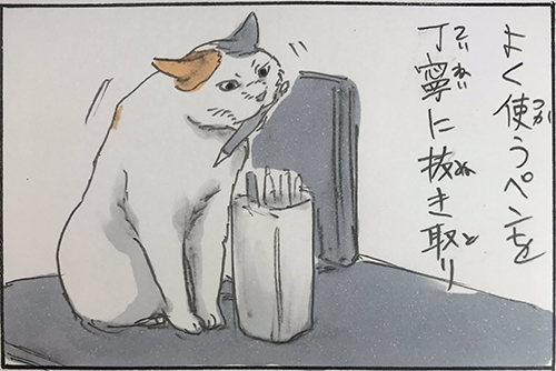 猫のお仕事5枚目