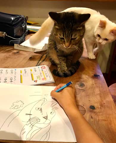 息子 宿題 見守る 猫 お絵描き