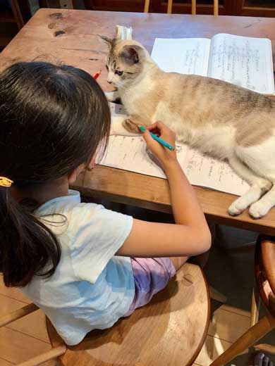 息子 宿題 見守る 猫 お絵描き