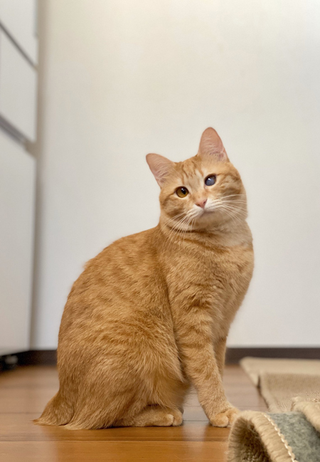 金柑ちゃん全身