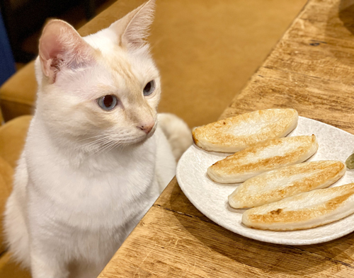 笹かまとミレットくん