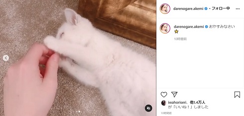 ダレノガレ明美 猫 保護 片目