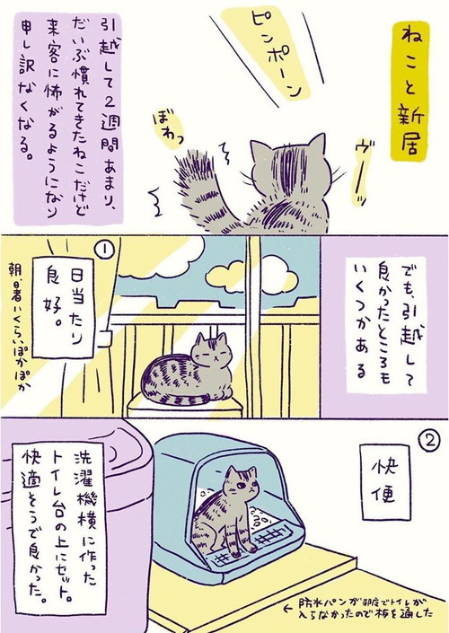 「ねこと新居」