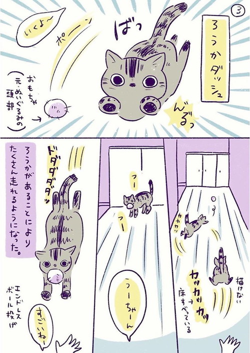 「ねこと新居」