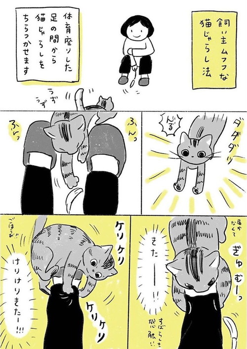 猫じゃらし法