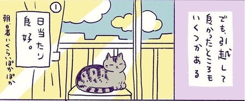 「ねこと新居」