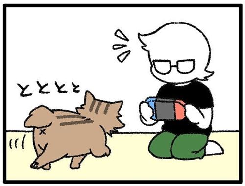 猫漫画