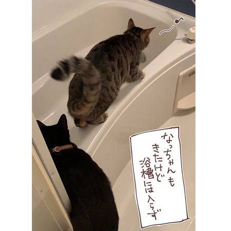 風呂を探検する菊夏きょうだい