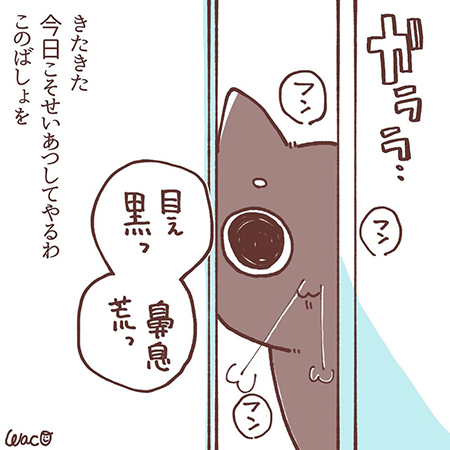 菊夏絵日記42の4