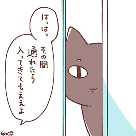 菊夏絵日記42の5