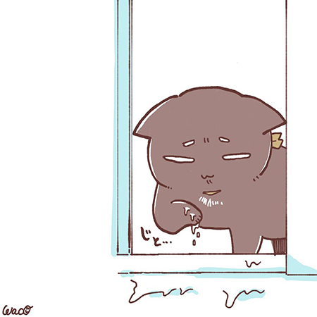 菊夏絵日記42の9