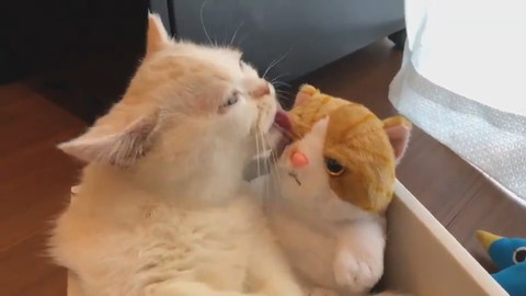 えんちゃんと新入り