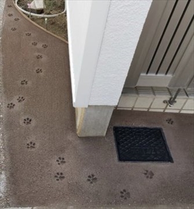 にゃん跡 肉球 neko ねこ かわいい