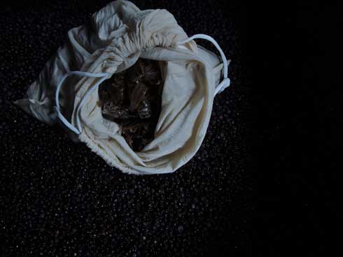 タガメ 使用 クラフトジン First Essence Tagame Gin