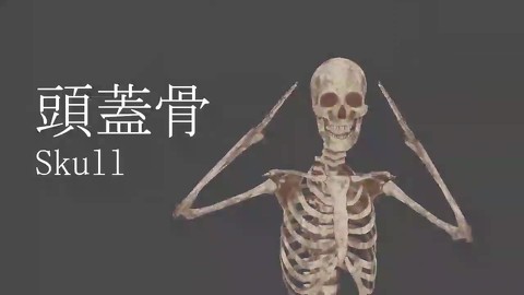 「自分を標本にしちゃえば良くね？」　先生が体を張って人間の骨格を教える授業がおもしろい