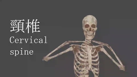 「自分を標本にしちゃえば良くね？」　先生が体を張って人間の骨格を教える授業がおもしろい