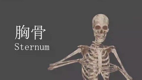 「自分を標本にしちゃえば良くね？」　先生が体を張って人間の骨格を教える授業がおもしろい