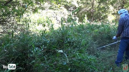 ヒロシ YouTube キャンプ 登録者数