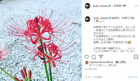 工藤静香 兄 墓参り お兄ちゃん 彼岸花