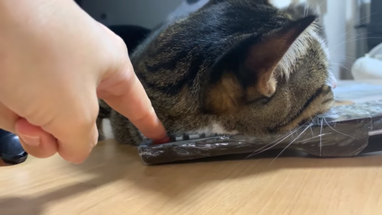 指でリモコンのスイッチを押す