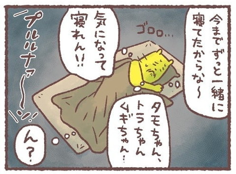 「猫は薄情っていうけど…」