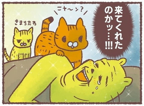 「猫は薄情っていうけど…」