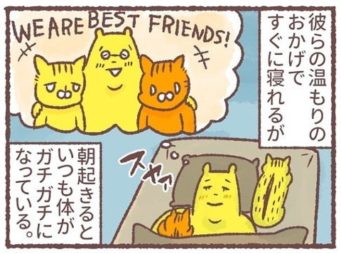 「猫は薄情っていうけど…」