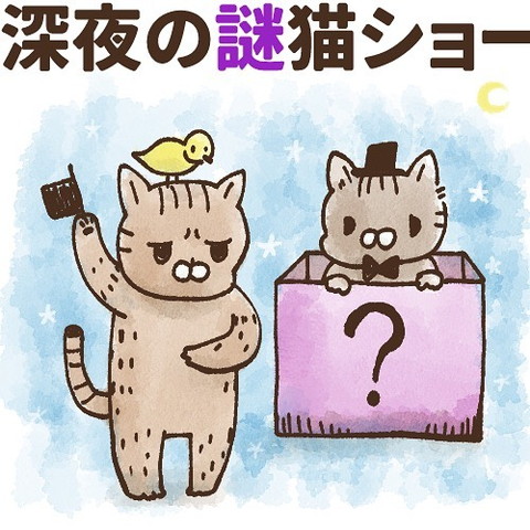 「深夜の謎猫ショー」